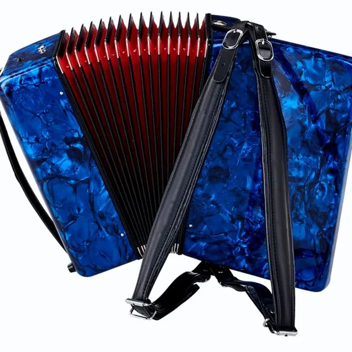 Mon avis honnête sur l’accordéon Startone Piano Accordion 48 Blue MKII