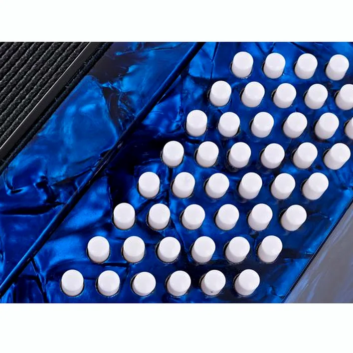 Mon avis honnête sur l’accordéon Startone Piano Accordion 48 Blue MKII