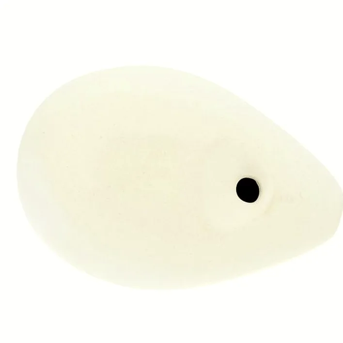 Ocarina Thomann Ocarina 4H C Soprano Swan male : Test, Avis & Comparatif