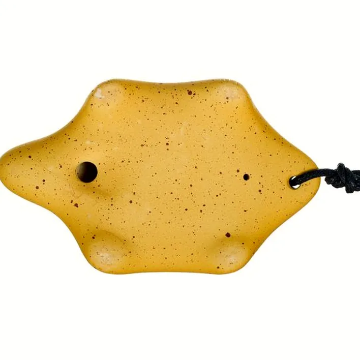 Ocarina Thomann Ocarina 4H G Soprano Turtle O Test, Comparatif et Avis