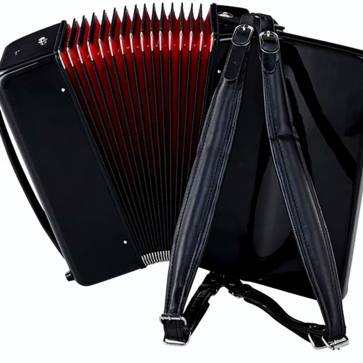 Pourquoi choisir l’accordéon Startone Piano Accordion 48 Black MKII ? Test détaillé