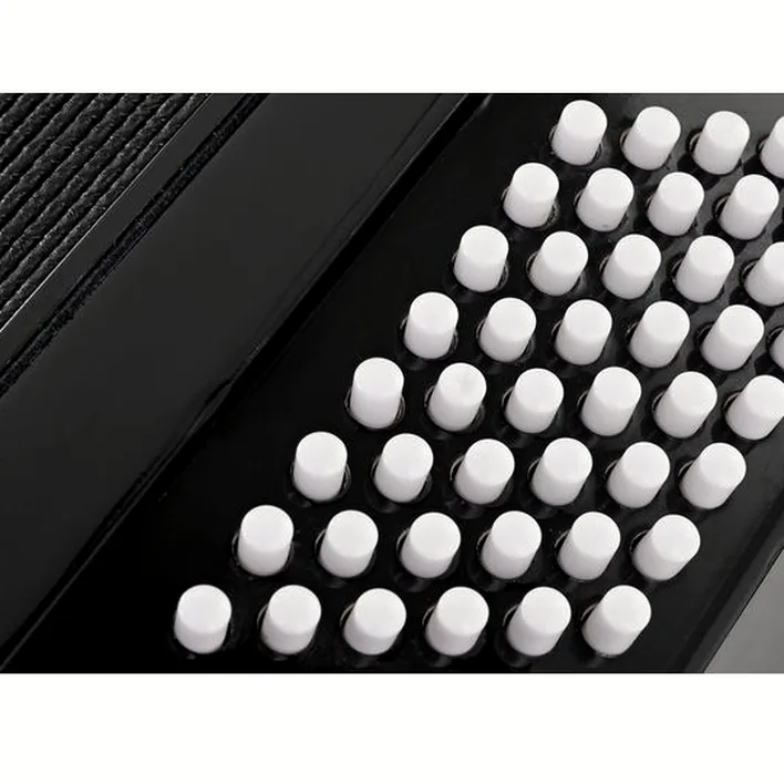 Pourquoi choisir l’accordéon Startone Piano Accordion 48 Black MKII ? Test détaillé
