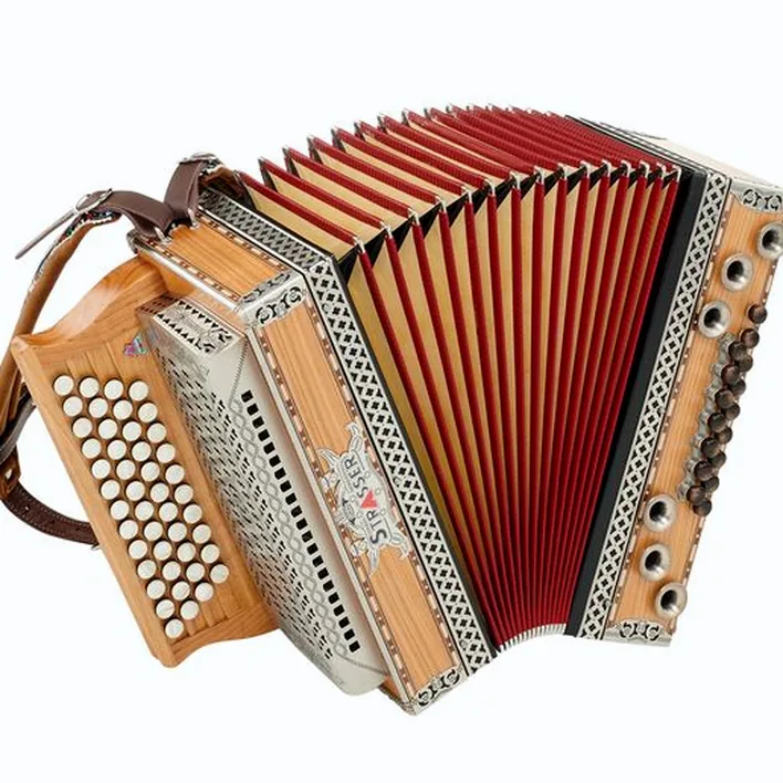 Pourquoi choisir l’accordéon Strasser Professional G/C/F/Bb Cherry ? Test détaillé