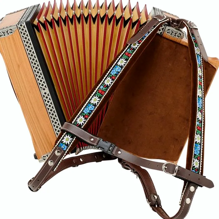 Pourquoi choisir l’accordéon Strasser Professional G/C/F/Bb Cherry ? Test détaillé