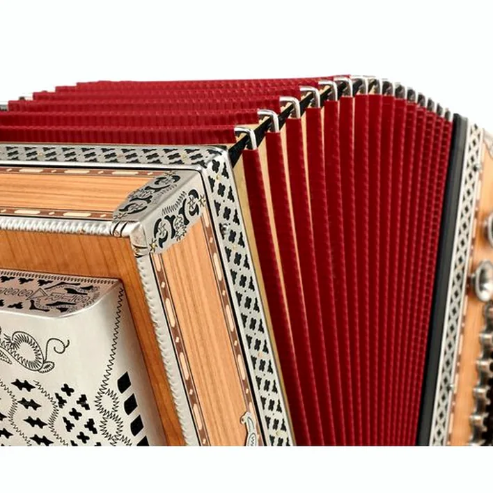 Pourquoi choisir l’accordéon Strasser Professional G/C/F/Bb Cherry ? Test détaillé
