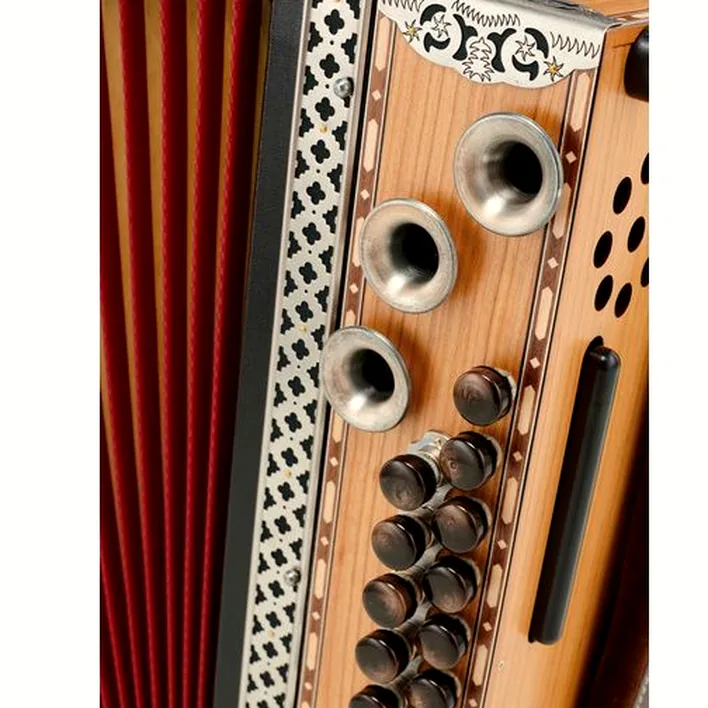 Pourquoi choisir l’accordéon Strasser Professional G/C/F/Bb Cherry ? Test détaillé