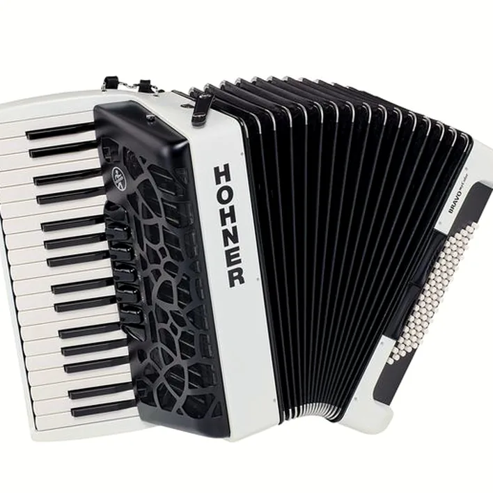 Que penser de l’accordéon Hohner Bravo III 72 myColor Day ?
