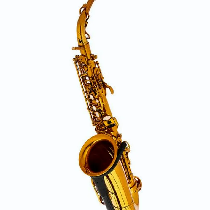 Test, Avis : BetterSax Alto Saxophone