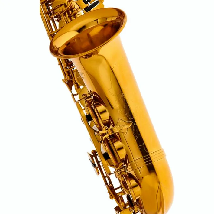 Test, Avis : BetterSax Alto Saxophone