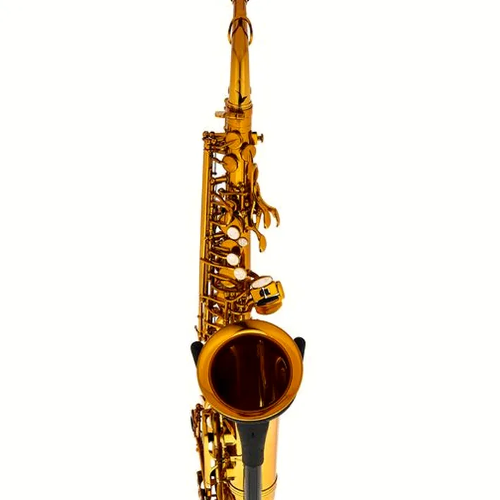 Test, Avis : BetterSax Alto Saxophone