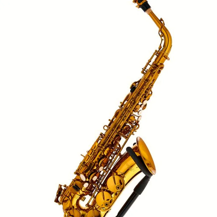 Test, Avis : BetterSax Alto Saxophone