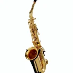 Avis & Test : Buffet Crampon Prodige Alto Sax