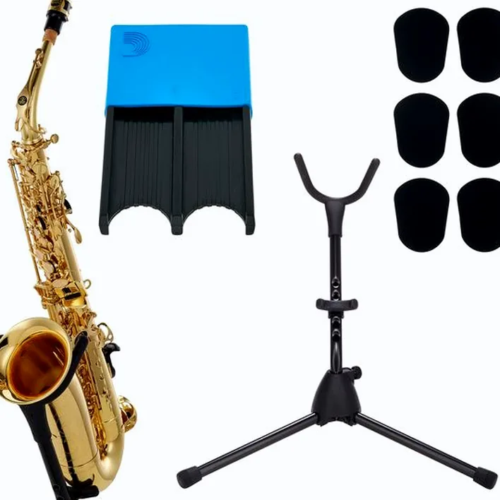 Saxophone Buffet Crampon Prodige Alto Sax Set : Test et Avis