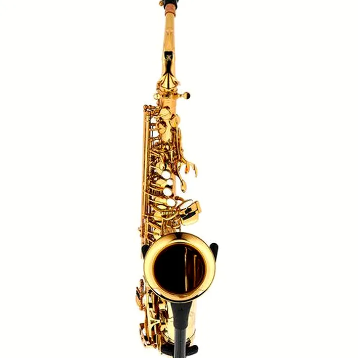 Test & Avis du saxophone Keilwerth ST-110 Alto Sax