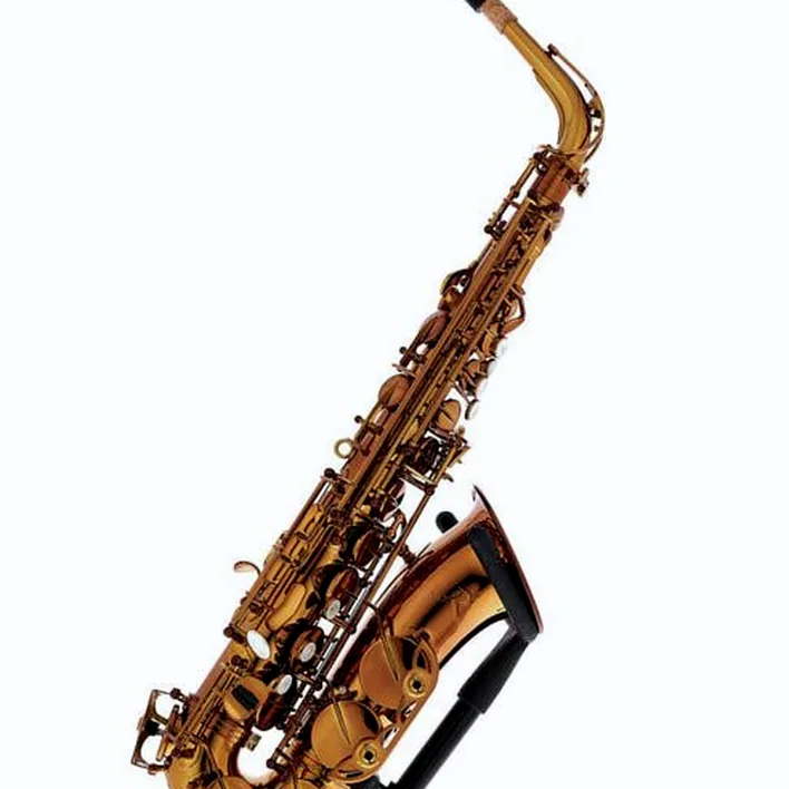 Avis et Test : Rampone & Cazzani Performance Line Alto Sax