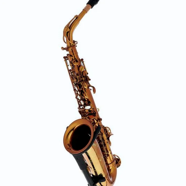 Avis et Test : Rampone & Cazzani Performance Line Alto Sax
