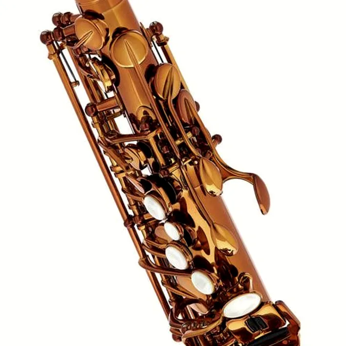 Avis et Test : Rampone & Cazzani Performance Line Alto Sax