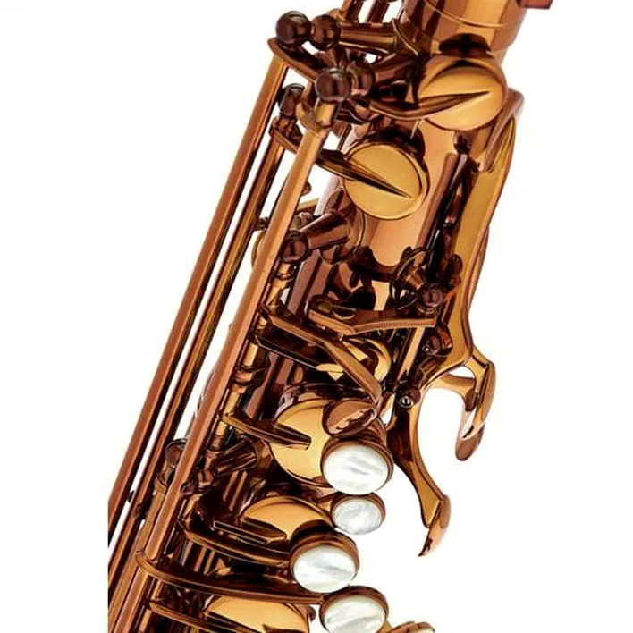 Avis et Test : Rampone & Cazzani Performance Line Alto Sax