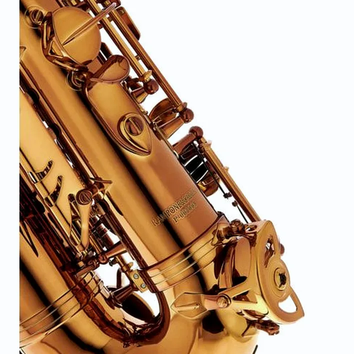 Avis et Test : Rampone & Cazzani Performance Line Alto Sax