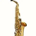 Saxophone Rampone & Cazzani R1 Jazz Alto Sax AU Comparatif, Test et Avis