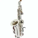 Saxophone Rampone & Cazzani R1 Jazz Eb-Sopranino curved AG Avis, Test, Comparatif