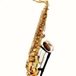 Saxophone Rampone & Cazzani Two Voices Tenor Sax BRS Comparatif, Test et Avis
