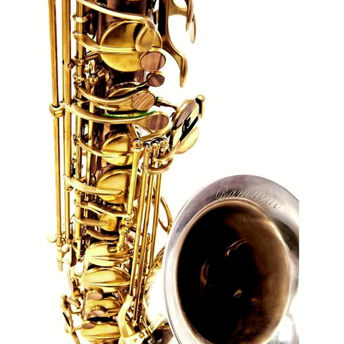 Saxophone Rampone & Cazzani Two Voices Tenor Sax BRS Comparatif, Test et Avis