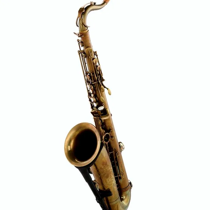 Test, Avis : Schagerl Tenor Sax 66FV-EC
