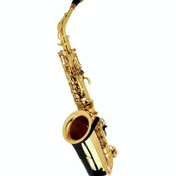 Saxophone Selmer Axos Alto Sax – Comparatif, Avis & Test