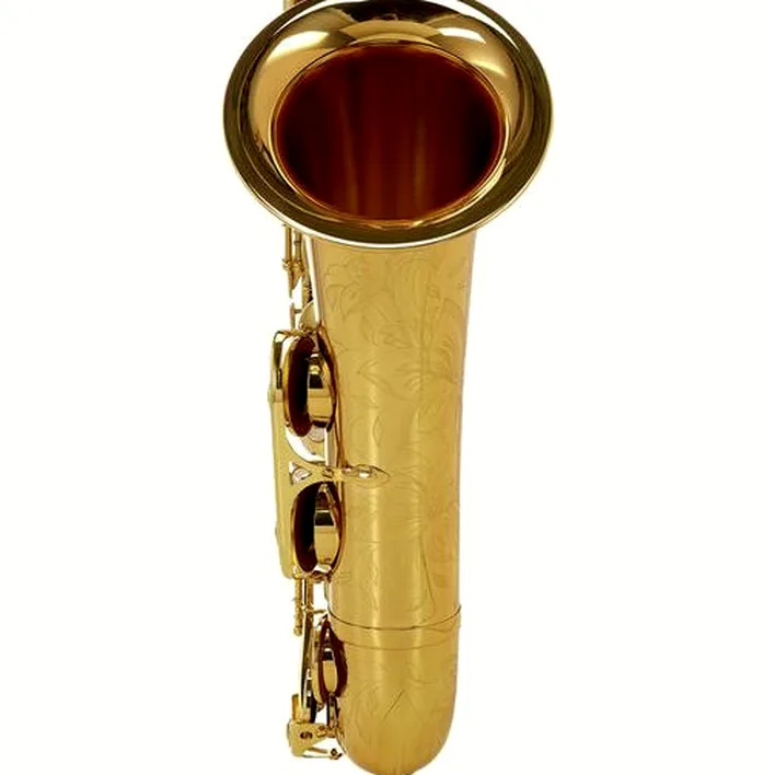 Saxophone Selmer Axos Tenor Sax – Avis, Comparatif & Test
