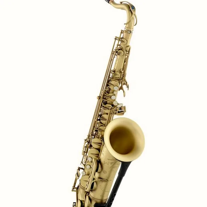 Saxophone Selmer Signature Tenor Sax SE-TSIP Avis, Test & Comparatif