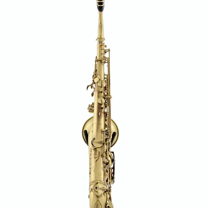Saxophone Selmer Signature Tenor Sax SE-TSIP Avis, Test & Comparatif