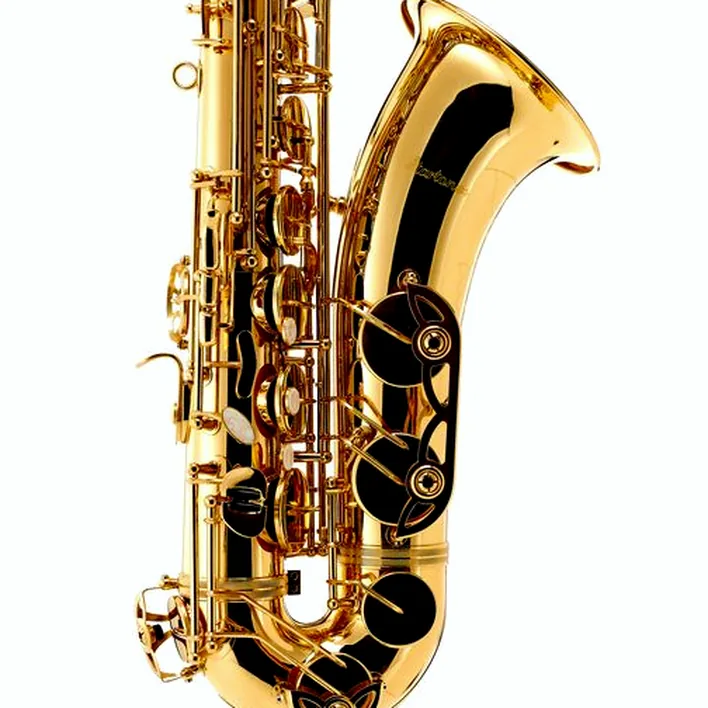 Avis et Test du saxophone Startone STS-75 Tenor Sax