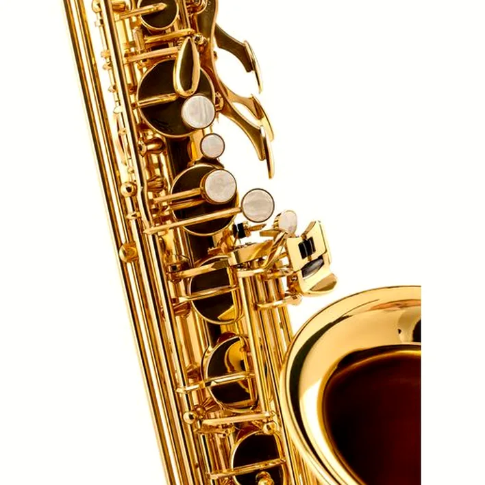 Avis et Test du saxophone Startone STS-75 Tenor Sax