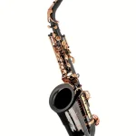 Saxophone Thomann ASBBG Custom Line Alto Sax Test, Avis et Comparatif