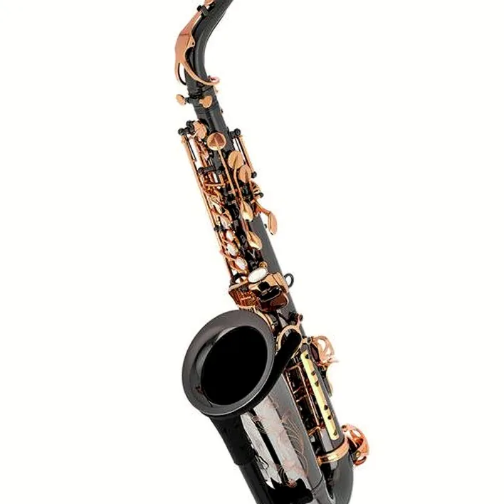 Saxophone Thomann ASBBG Custom Line Alto Sax Test, Avis et Comparatif