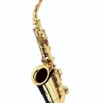 Le saxophone Thomann ASBGG Custom Line Alto Sax , Test, Comparatif & Avis