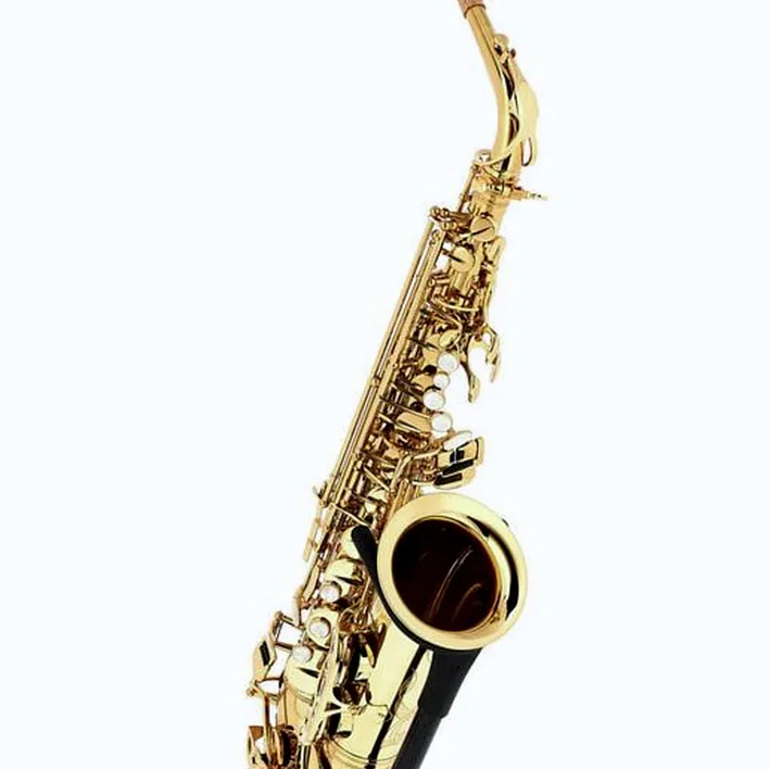 Le saxophone Thomann ASBGG Custom Line Alto Sax , Test, Comparatif & Avis