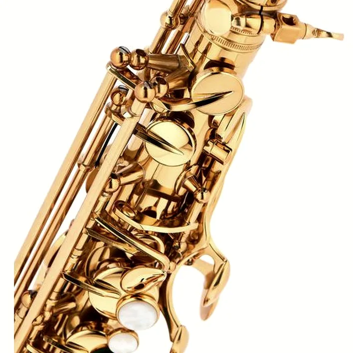 Le saxophone Thomann ASBGG Custom Line Alto Sax , Test, Comparatif & Avis