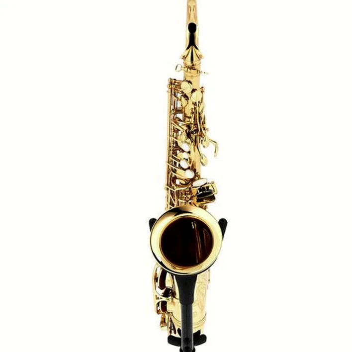 Le saxophone Thomann ASBGG Custom Line Alto Sax , Test, Comparatif & Avis