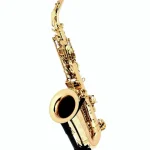 Le saxophone Thomann ASBGM Custom Line Alto Sax , Comparatif, Test et Avis