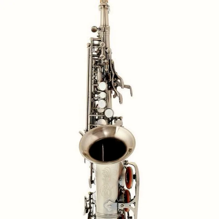 Le saxophone Thomann CSSG Custom Line Soprano Sax – Test, Avis, Comparatif