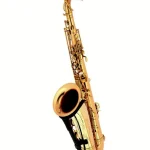 Test & Avis du saxophone Thomann Custom Line Bronze TLBBZG