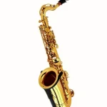Le saxophone Thomann Little Bee Kids Saxophone , Comparatif, Avis & Test