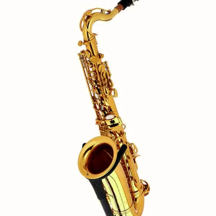 Le saxophone Thomann Little Bee Kids Saxophone , Comparatif, Avis & Test