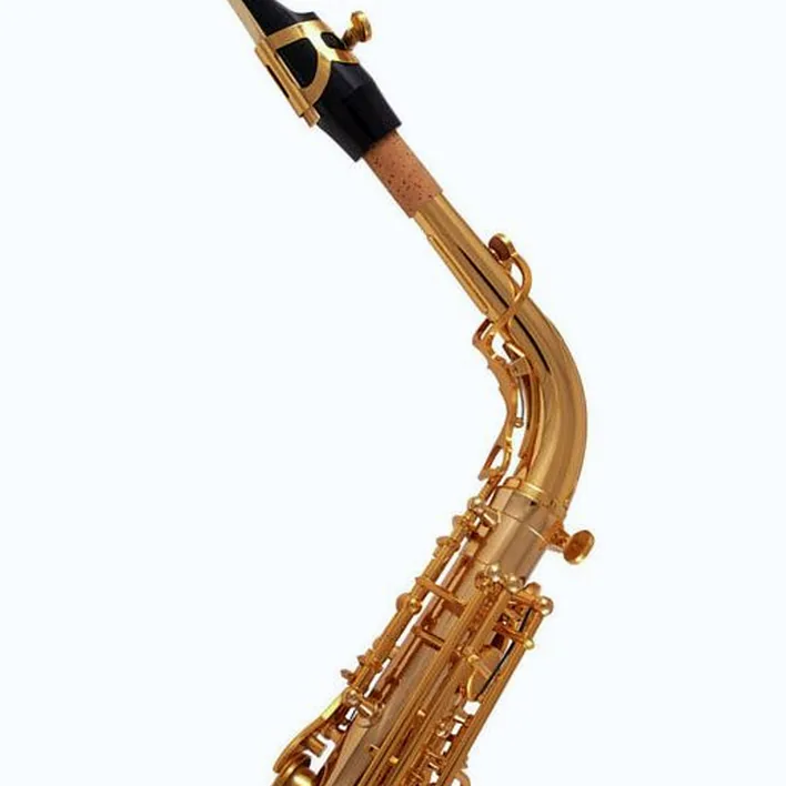 Avis & Test : Thomann TAS-350 Alto Sax Set