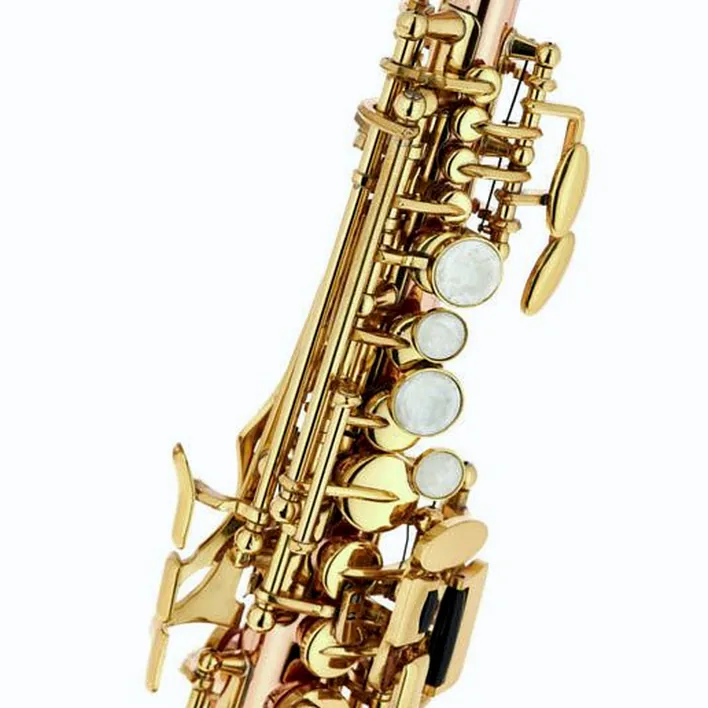 Le saxophone Thomann TSI-350 Sopranino Saxophone , Comparatif, Test et Avis