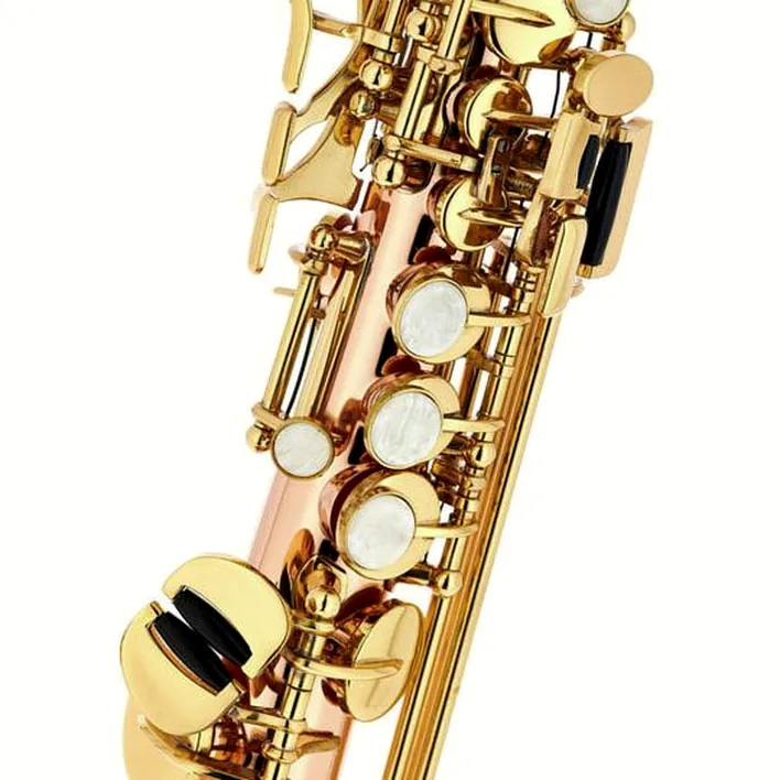 Le saxophone Thomann TSI-350 Sopranino Saxophone , Comparatif, Test et Avis