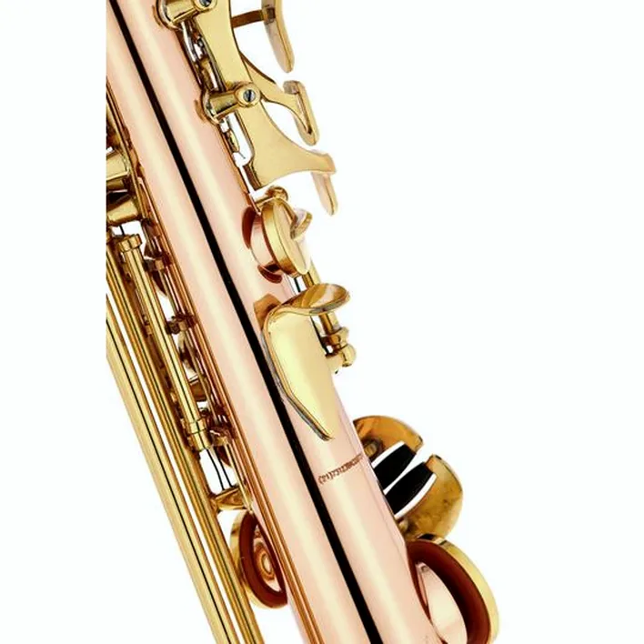 Le saxophone Thomann TSI-350 Sopranino Saxophone , Comparatif, Test et Avis