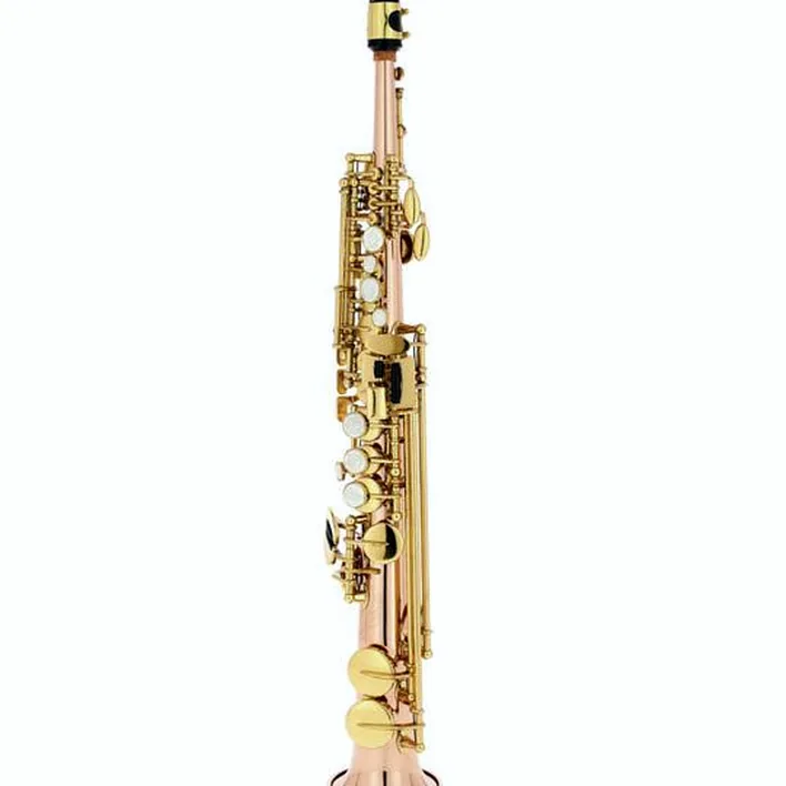 Le saxophone Thomann TSI-350 Sopranino Saxophone , Comparatif, Test et Avis